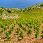 Island Hvar - photo gallery